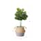 3ft. Artificial Fiddle Leaf Fig Tree With Handmade Cotton & Jute Woven Basket DIY Kit